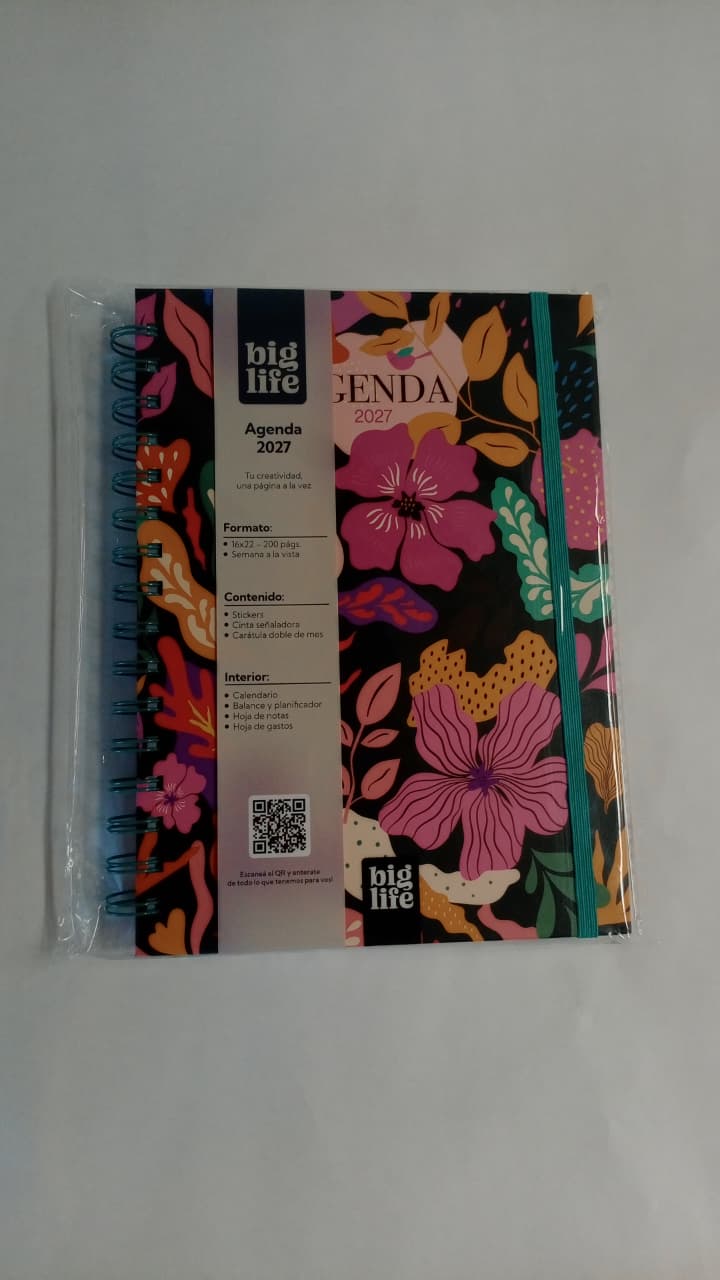 Agenda Big Memories tapa dura 200 hojas 16x22  PPR