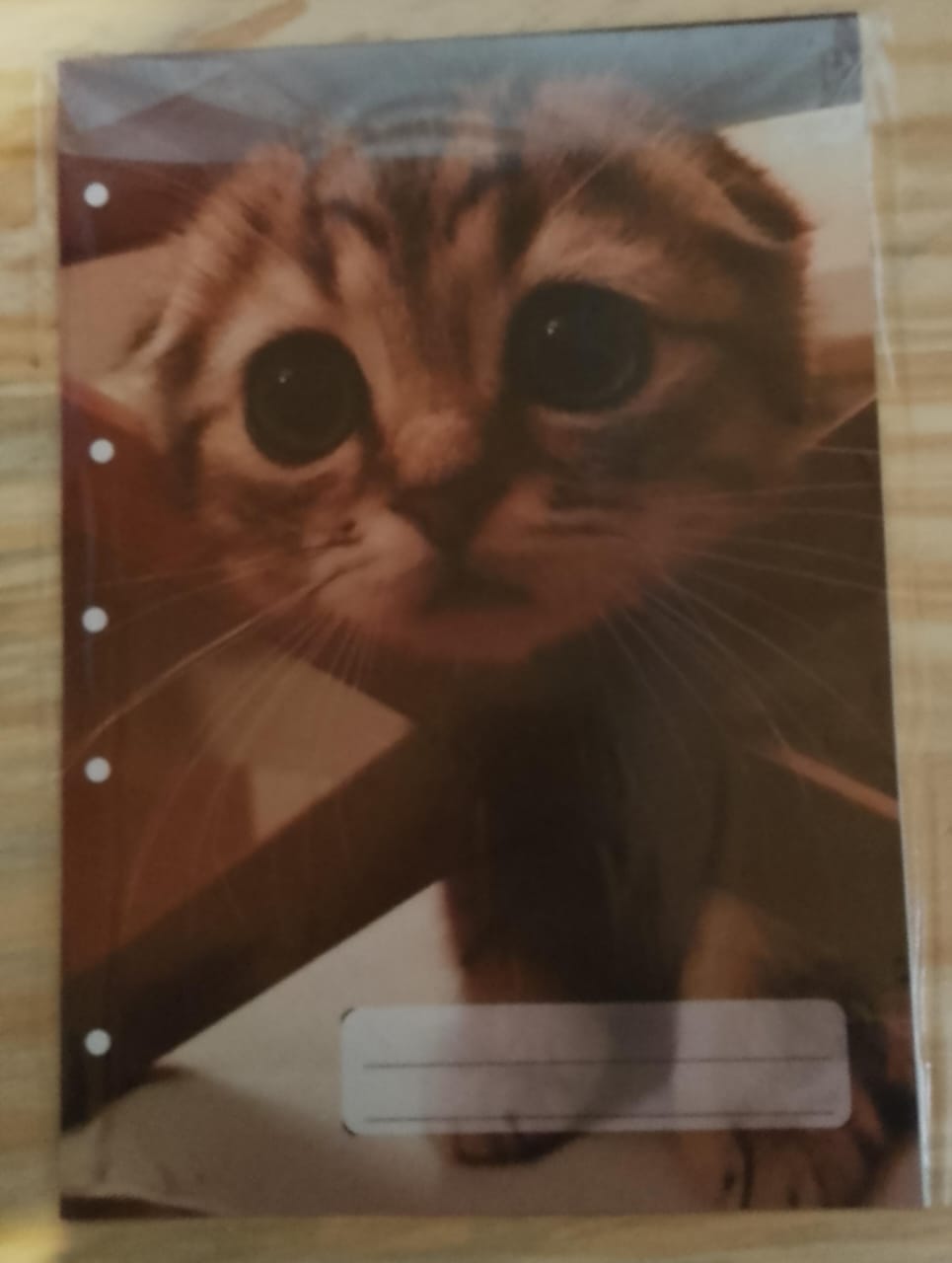 Separador A4 Maco - Gato